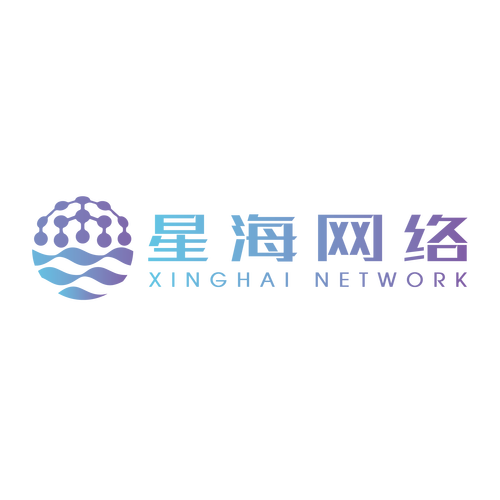 星海網絡 以技術創新驅動數字未來的行業先行者